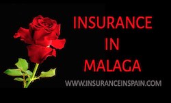 Insurance in Spain in English-We do it all!